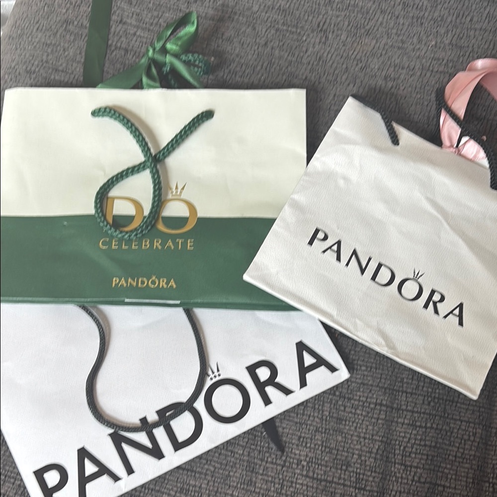 Pandora Gift Bags (3 bags)